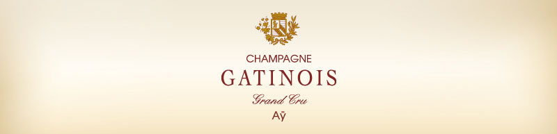 Champagne Gatinois Banner