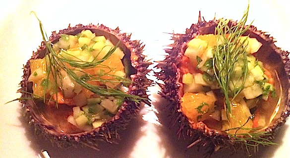 Sea Urchin at Nora Gray