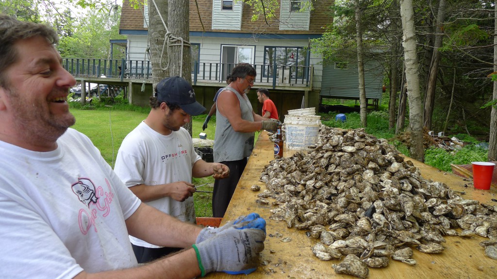 Hard at work sorting the oysters at Eagle Ledge