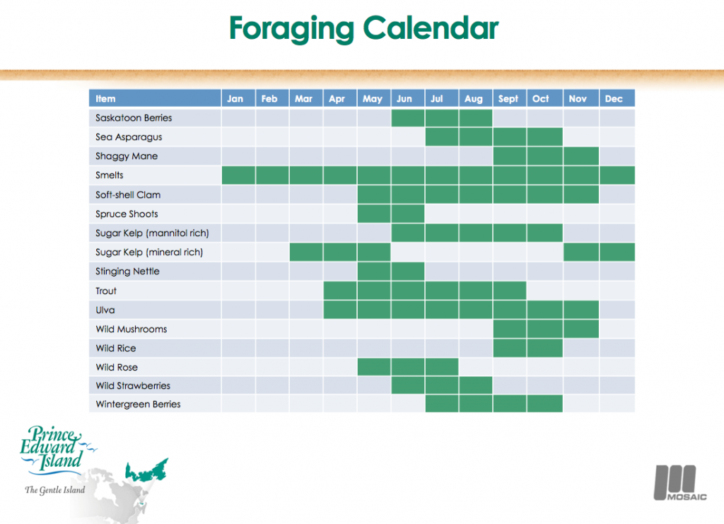 PEI Foraging Calendar 3