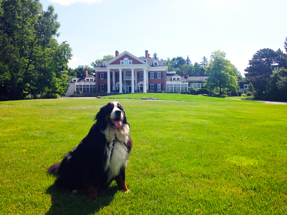 Walter on the Langdon Hall Lawn