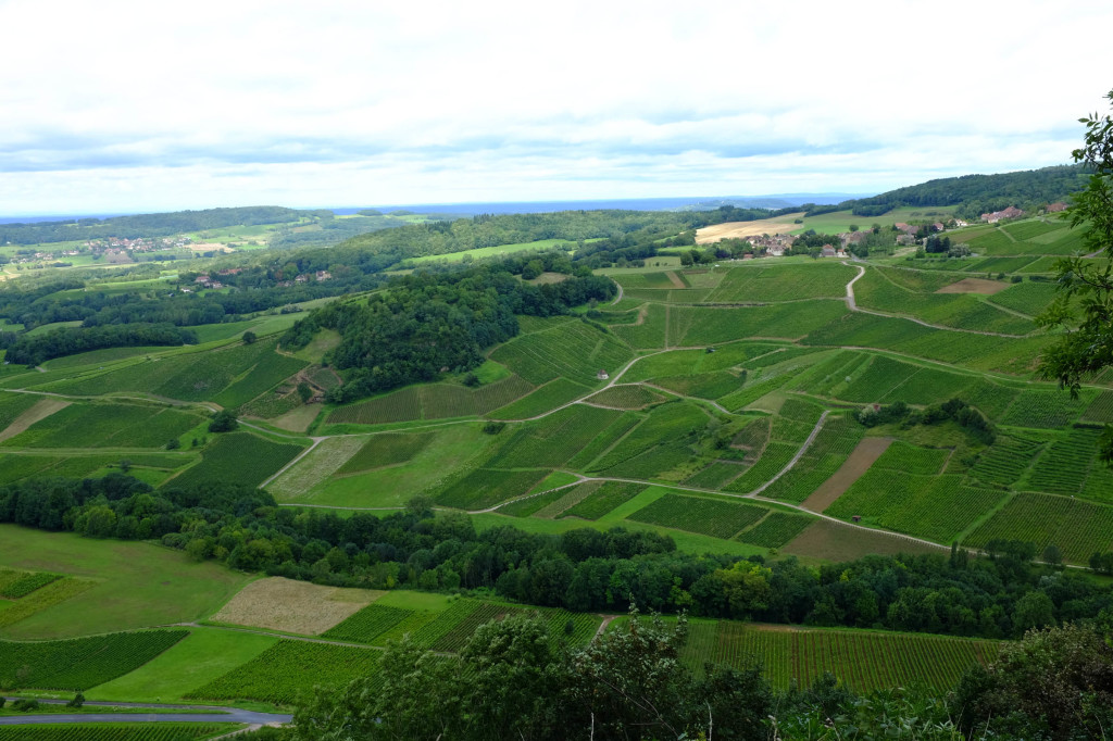 View of the rolling vineyards of Chateau-Chalon.