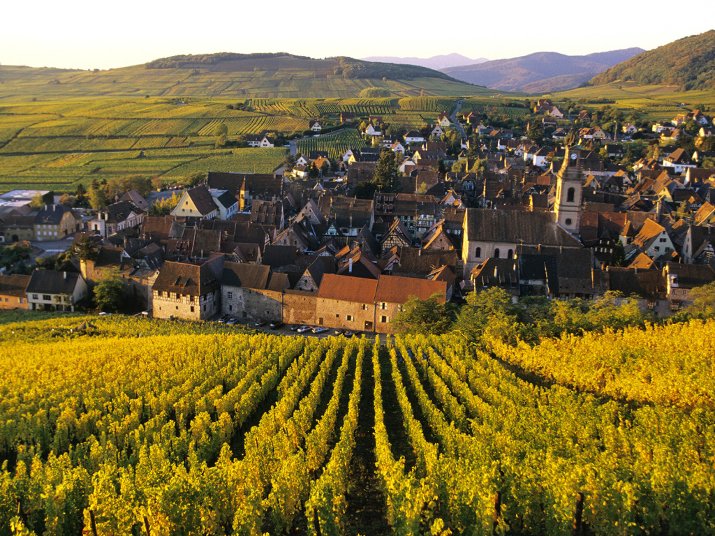 World___France_City_of_vineyards_in_Alsace__France_073426_