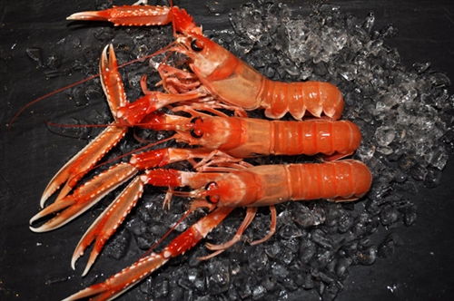 In my mind there are few things finer that Langoustines fresh-out-of-the-chilly-Scottish-waters.
