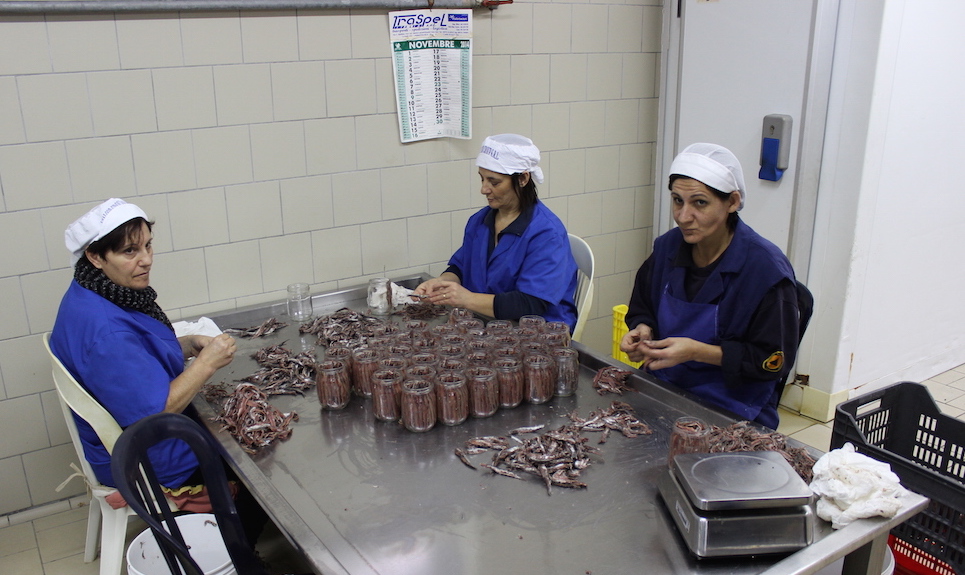 Cured anchovies are hand packed into jars at Delfino Battista in Cetara on the Amalfi Coast of Southern Italy.