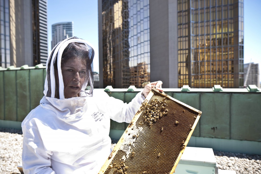 Melanie Coates and some bees (Photo Credit Geoff Fitzgerald)