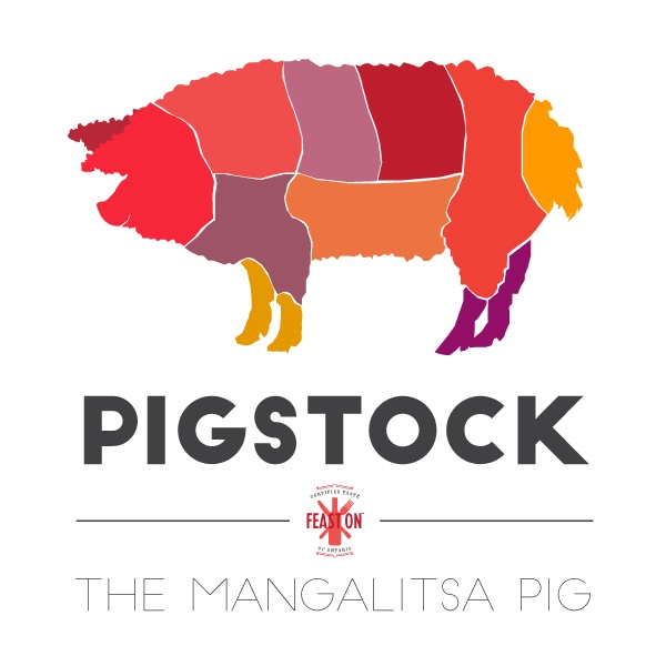 Pigstock Mangalista