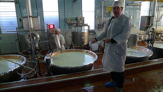 Good Food Revolution's Jamie Drummond observes the Parmigiano Reggiano production process in Emilia-Romagna.