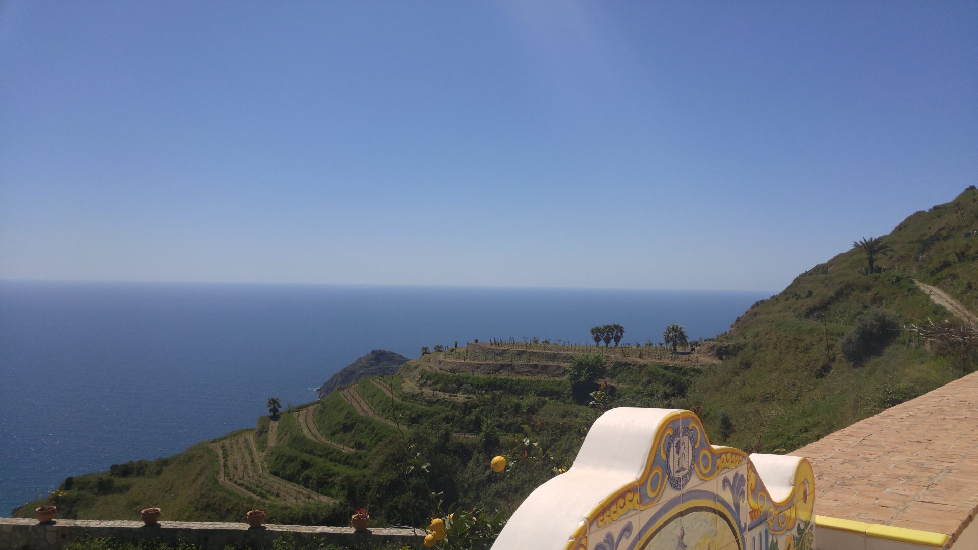 Ischia was an absolute paradise. Here you can see the vineyards of Casa d'Ambra set against the  ocean at what seems to be the end of the world.