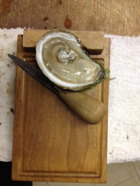 A perfect freshly-shucked Oyster Boy Premium Malpeque.