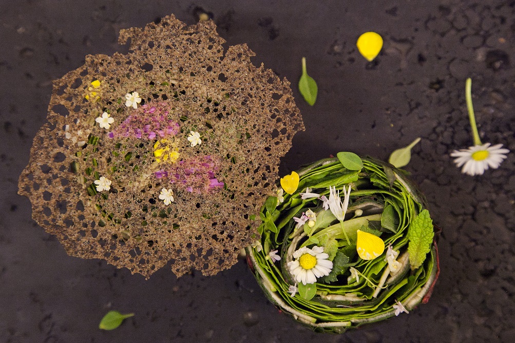 From our garden: vegetables, herbs and flowers, veil of buckwheat,  (Fina Puigdevall, Les Cols, Olot, Spain)