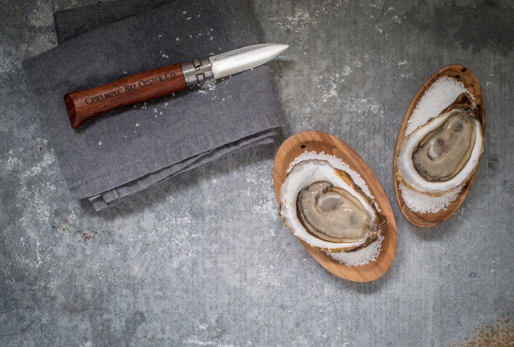 A perfect freshly-shicked Cascumpec oyster. Photo credit: Heather Ogg