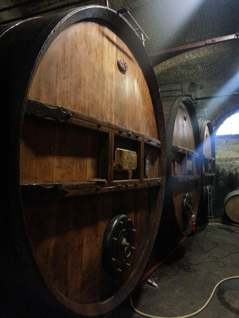 Some larger traditional barrels at Marchesi Di Barolo, Piedmont.