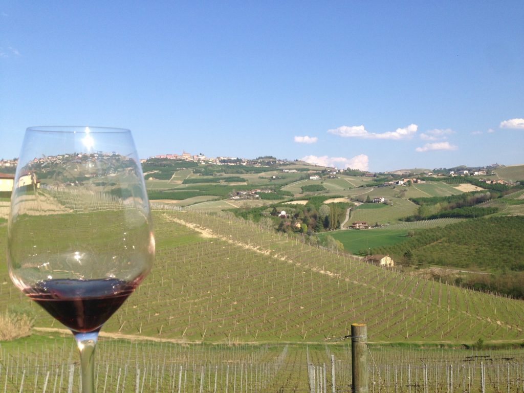 The rolling hills of Barolo.