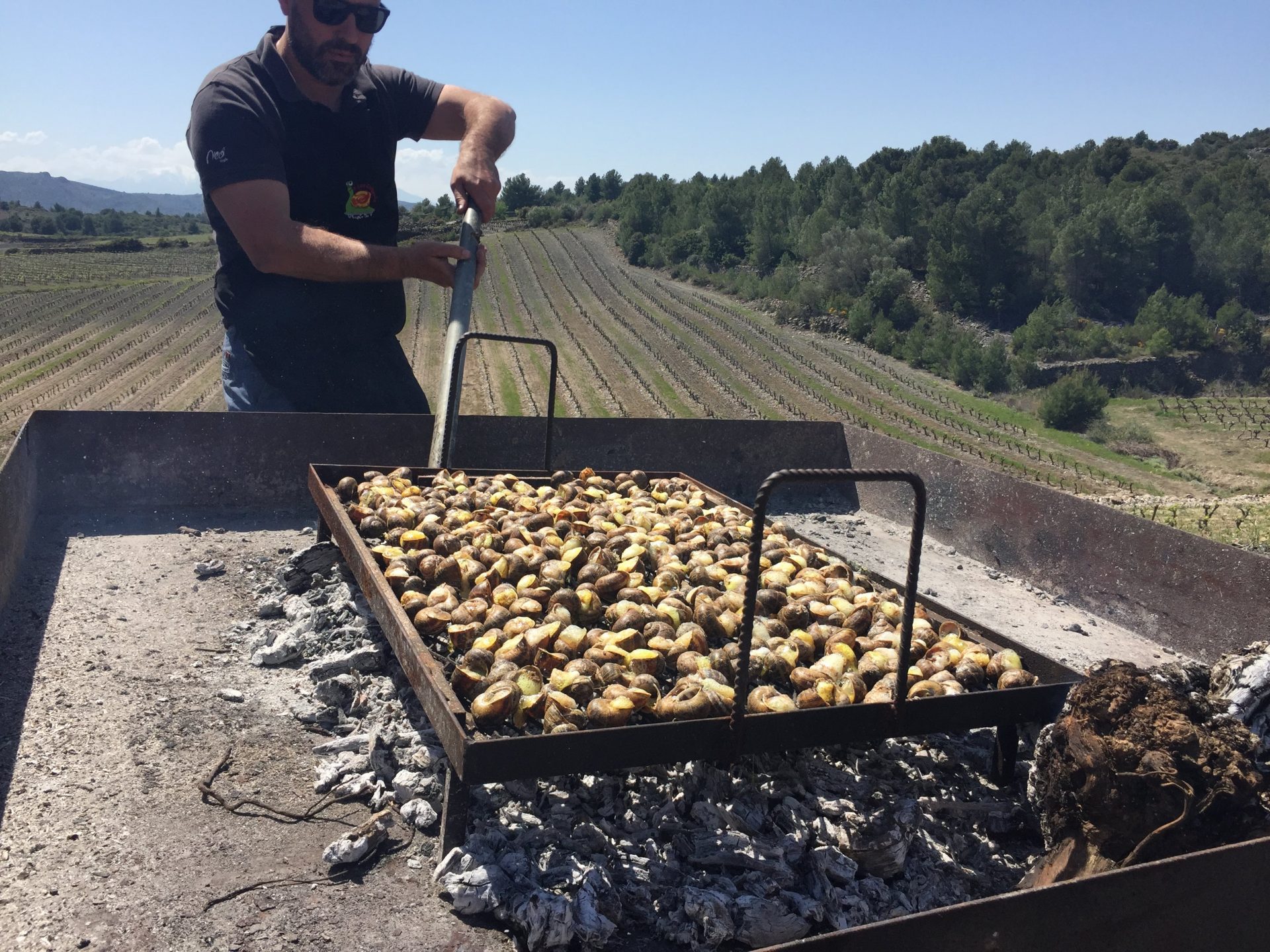 Classic Catalan barbeque snails in the hillside vineyards of the Roussillon. One of the most enjoyable culinary experiences I have ever had the pleasure of indulging in.