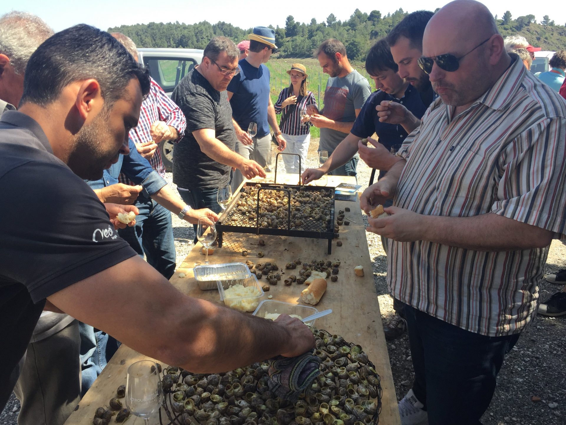 Journalists from all over the globe break bread (and eat snails) with Roussillon winemakers.