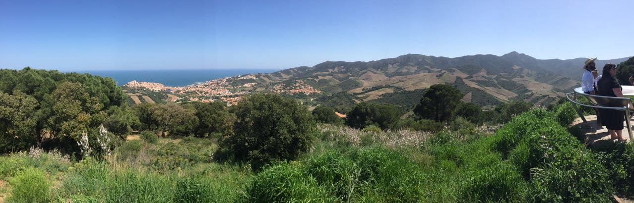 Overlooking the town of Banyuls from the terraced vineyards above.