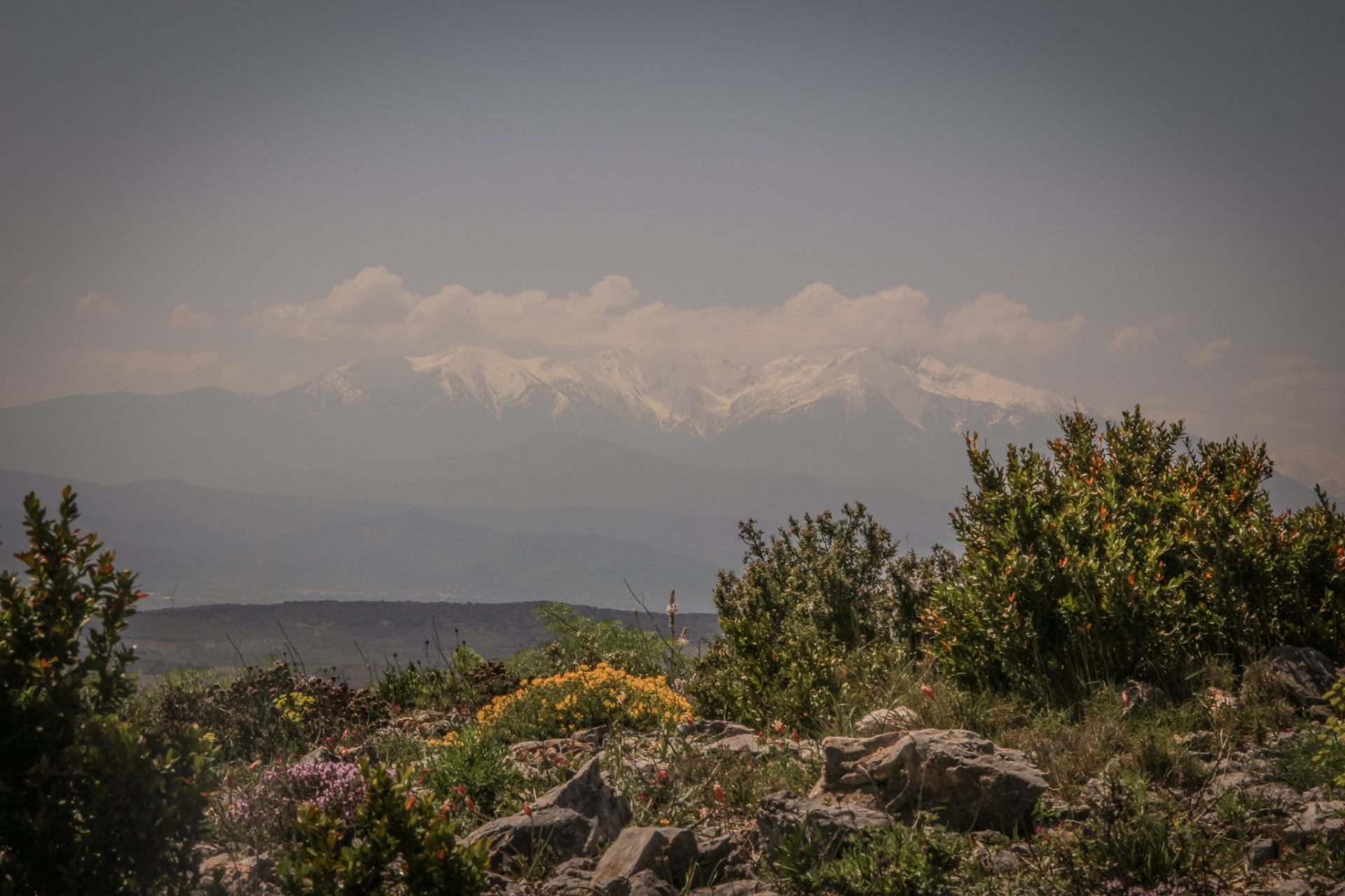 Looking at the foothills of the Pyrenees from Roussillon (Photo by Stefan Schwytz)