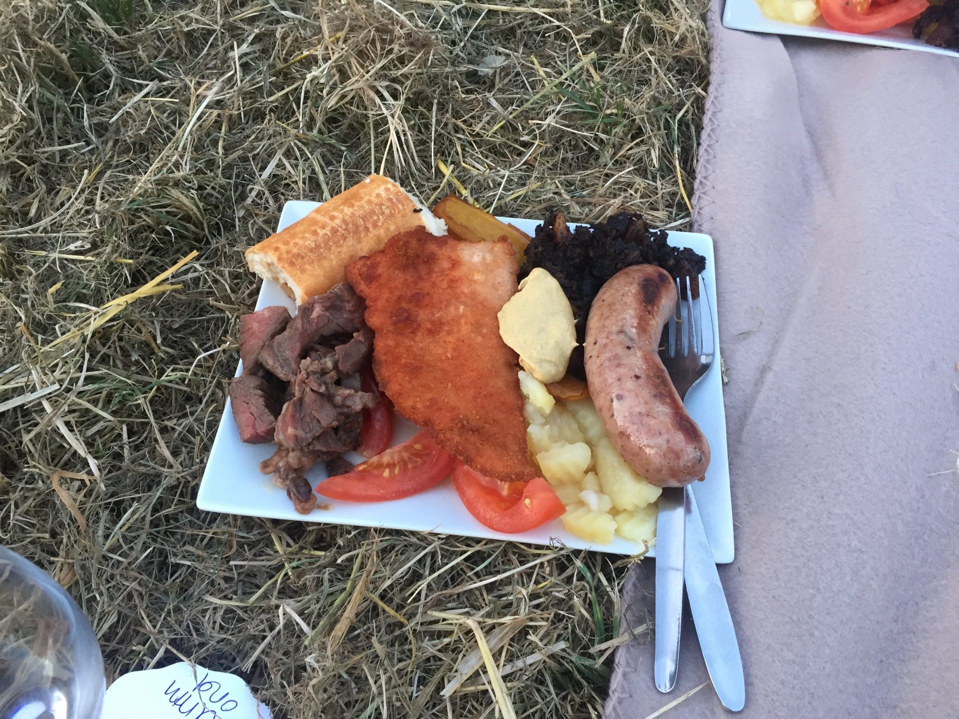 Some bloody delicious food that tick all the necessary "Austrian cuisine" boxes for me. At the Nussberg party.