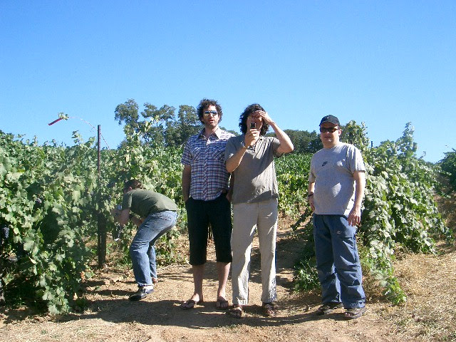 Alex Hamilton, Chef Jamie Kennedy, Anton Potvin, and Mitko Milev in the Zinfandel vineyards at Montevina, Amador County back in 2006. 