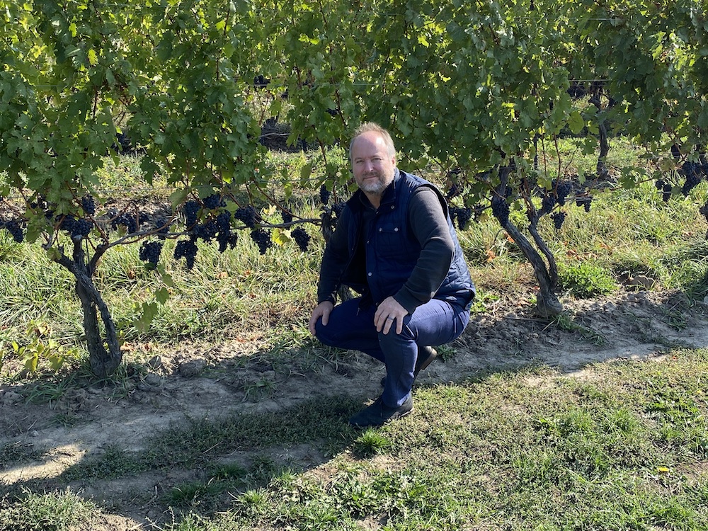 Catching up with the venerable Charles Baker, pictured here in the vineyards at Stratus today.