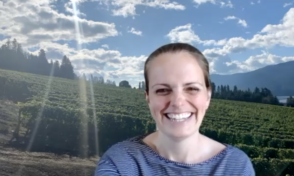 Winemaker Katie Dickieson gioves us the down-low about the last 14 months astPeller Esates.