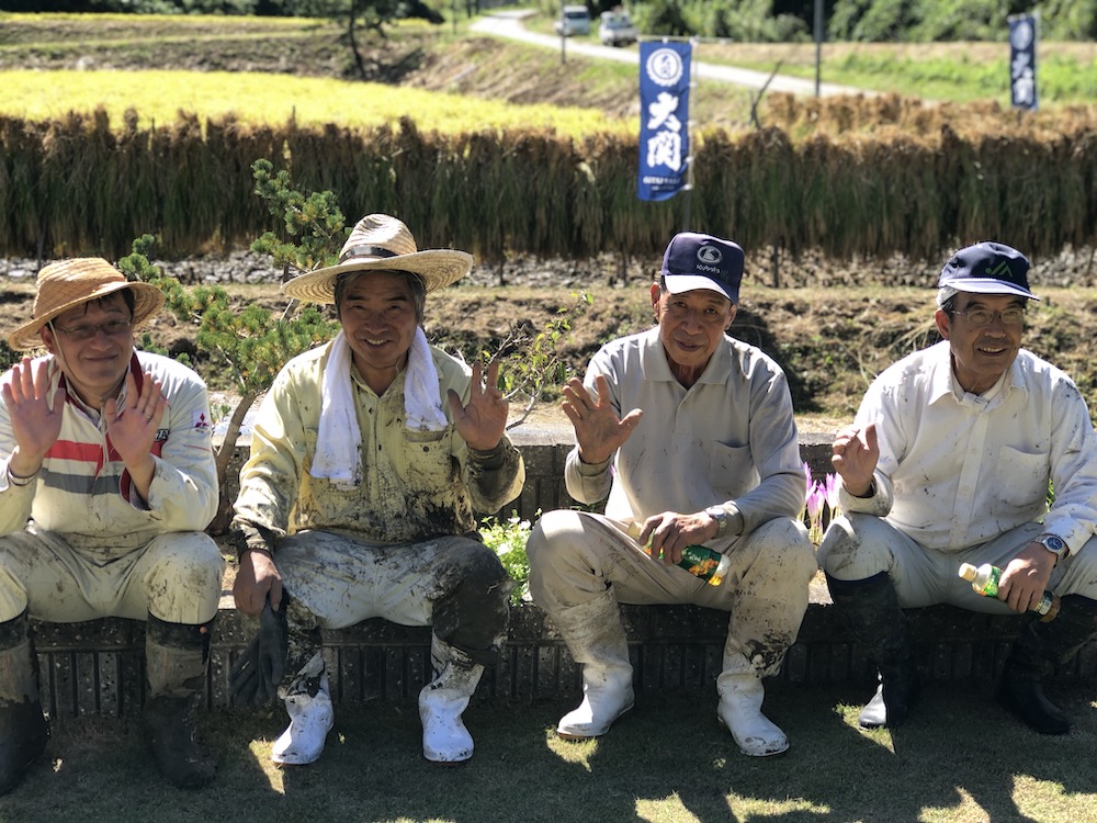 Yamadanishiki farmers in Hyogo, Japan.