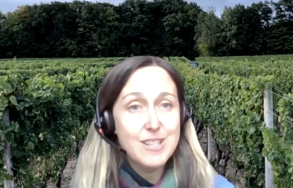 Thirty Bench winemaker Emma Garner guides us through the excellent 2017 "Small lot" Cabernet Franc.