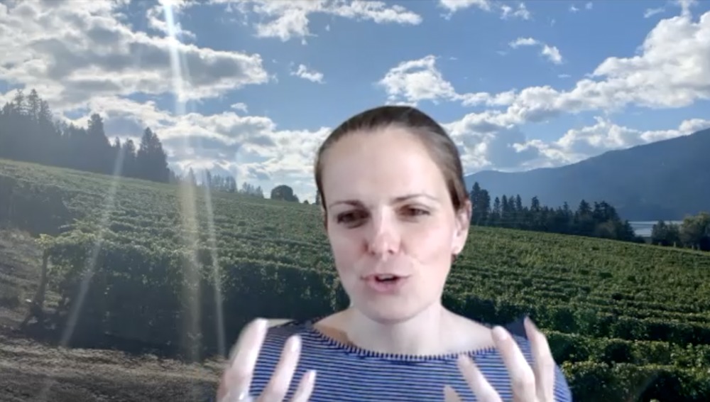 Peller Estate's winemaker Katie Dickieson explains the story behind her terrific limited release "Signature Series" Riesling. 