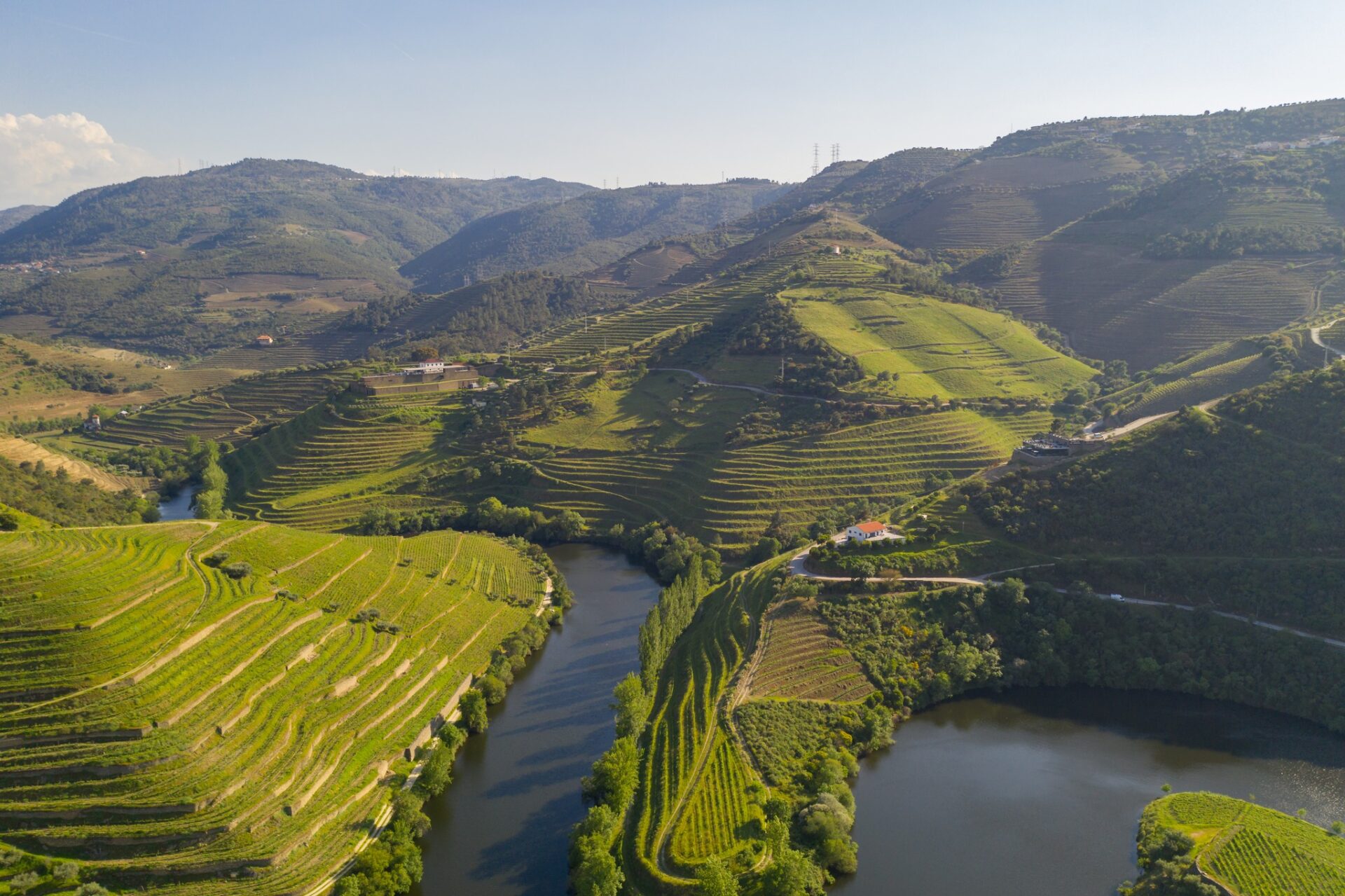 From Spritzy to Sparkling: Vinho Verde's Bold New World - Good Food ...