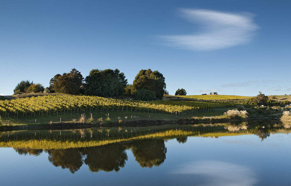Hot for cool New Zealand: Good wines that are good for the planet and its wine-loving people