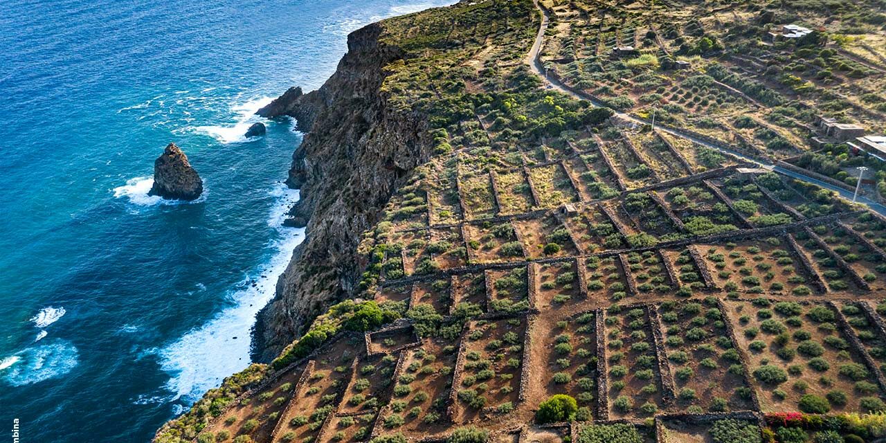 Veering Way Off the Beaten (Wine) Path: The Volcanic Wines of Pantelleria