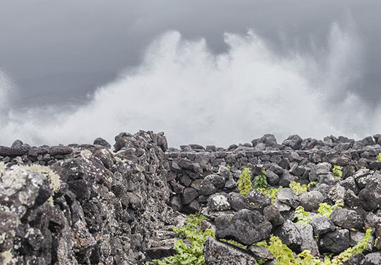 Azores Wine Company – wines on the edge