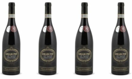 A Great Value Amarone for Fall