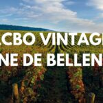 Special Domaine de Bellene offer